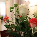 Adagio Theatre Apartment *